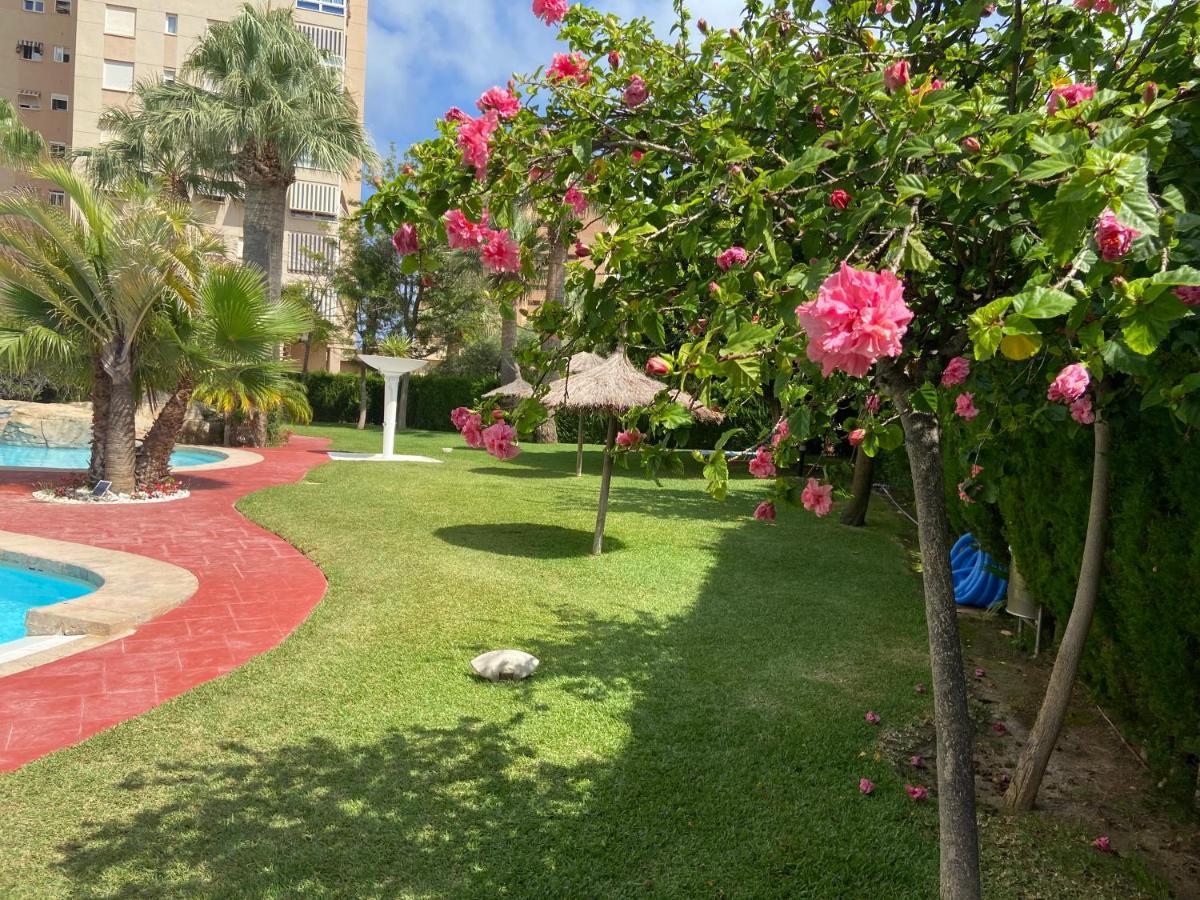 Alicante Apartamento En La Playa Muchavista-San Juan - Marluma Frente Al Mar La Venteta Eksteriør bilde
